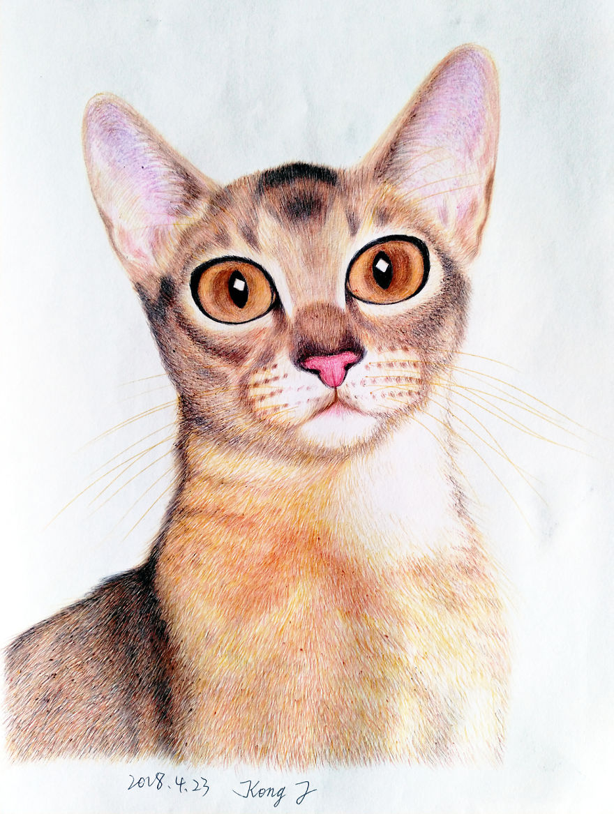 I Tried To Draw Cats With A Ballpoint Pen. Average 4 Hours Per Work.