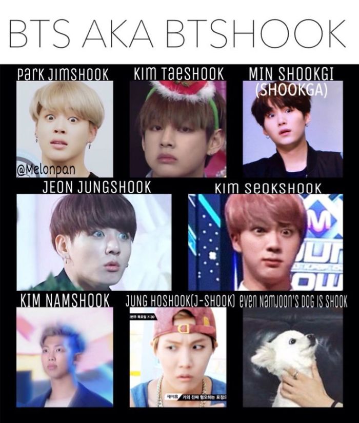 I Love Bts,astro,and Furries I Am Furriequeen