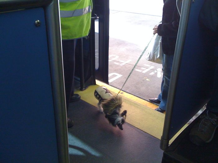 30 People Expose The Dumbest Things Their Significant Other Has Said Or Done