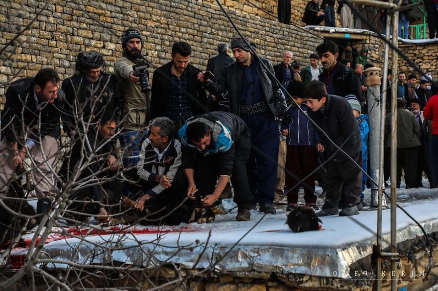 Kurdish Traditional Ceremony (The Festival Of Pir Shaliyar)