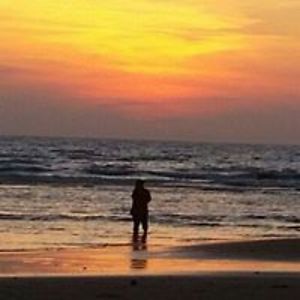 adamfarish0807 avatar