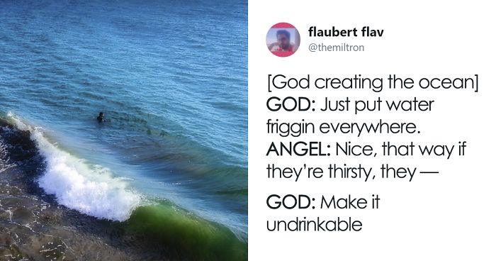 People Imagine What God Was Thinking When He Created Specific Things And It’s Hilarious