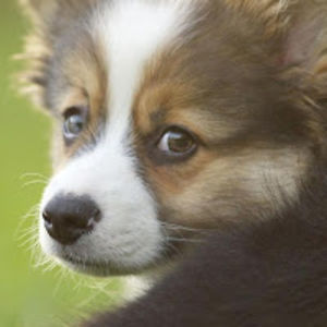 xxunicornxxxxsquadxx avatar