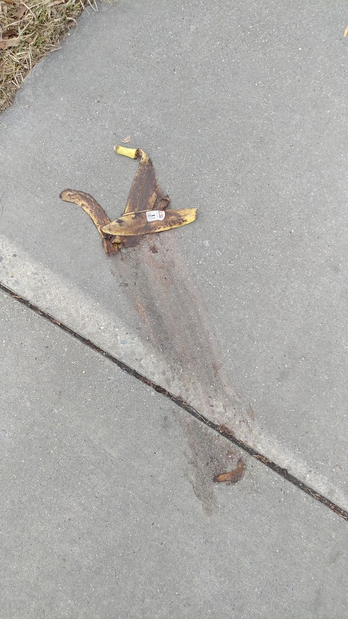 Rip Random Pedestrian. These Are Dark Times