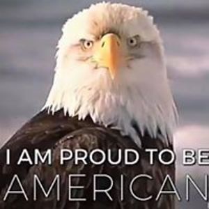 sandy_feuerbacher avatar