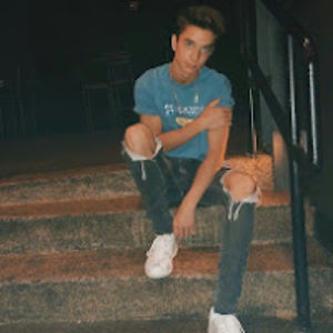 joziecampbell avatar