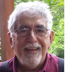 arnold_bianchi avatar