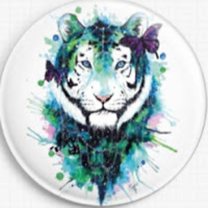 shreesaanvimukkara avatar