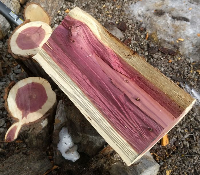 The Center Of This Firewood Is Magenta-Colored