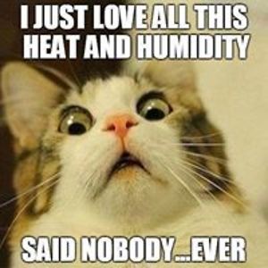 thetrapdoorspider avatar