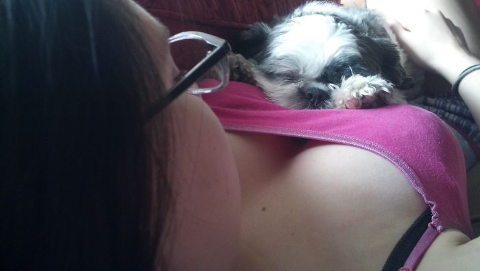 Asked My BF To Take A Cute Picture Of Me And The Dog. This Is What I Get