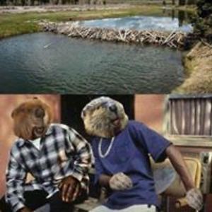 matthewdavishand avatar