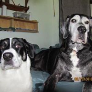 wellscreekfarm avatar