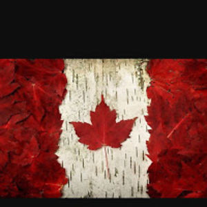 gregreifenstein avatar