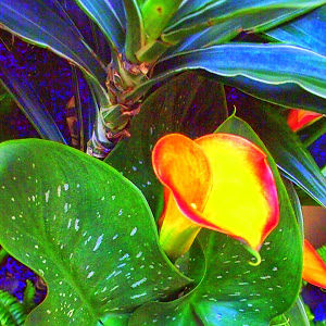 allynziebarth avatar