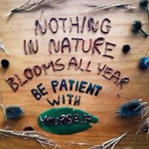 northstarshetlands avatar