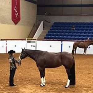 purplepoodle55 avatar