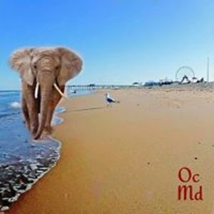 caseythereal123 avatar