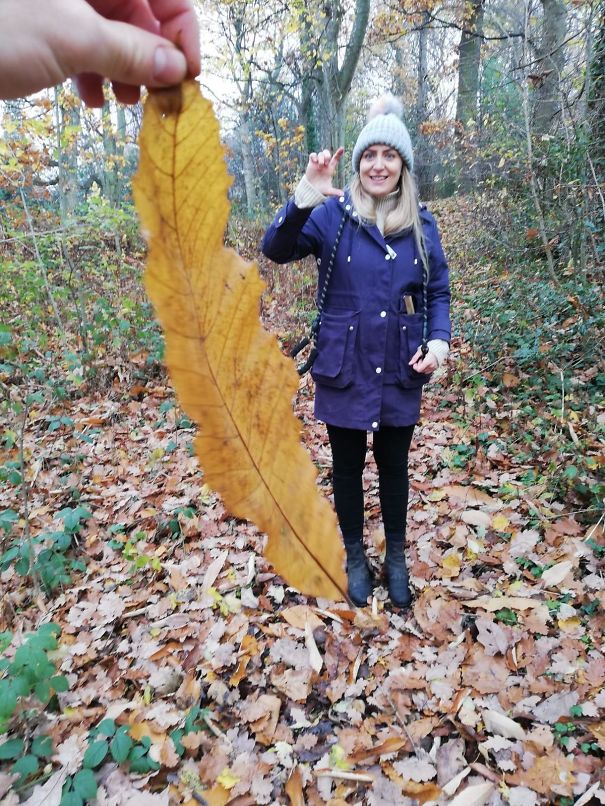 My Friend's Wife Doesn't Understand Perspective