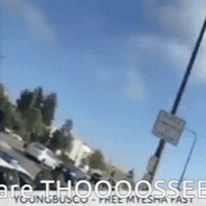 karmamusgrove avatar