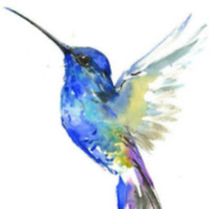 sofiaabadchisholm avatar