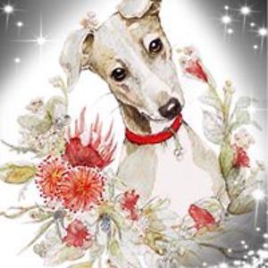 trevjenfullerton avatar