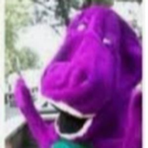 phoenixdubravac avatar