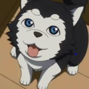 dianatheamazing avatar