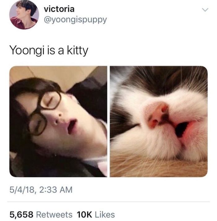 I Love Bts,astro,and Furries I Am Furriequeen