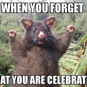 jocelyneaton036 avatar