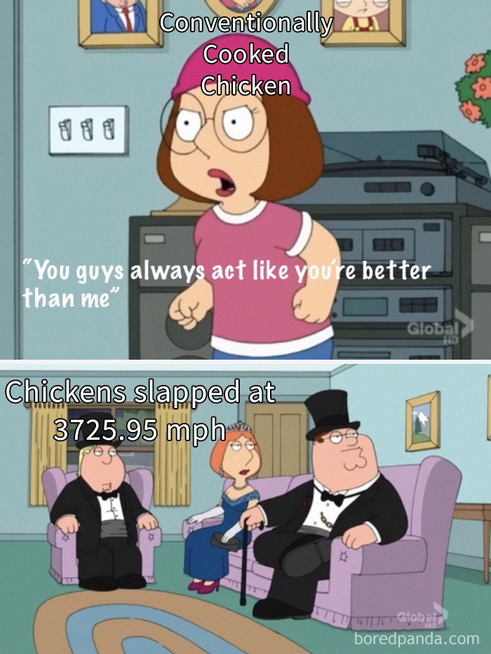 Physics-Major-Calculates-How-Hard-To-Slap-Chicken-To-Cook-It