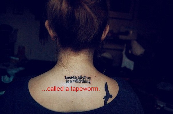 Trolling-Hipster-Captions