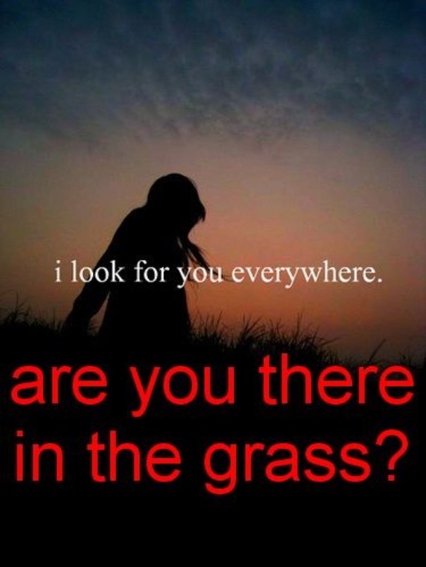 Trolling-Hipster-Captions