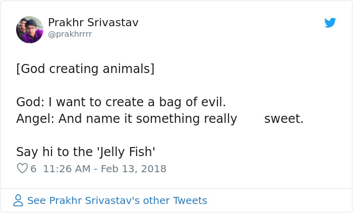 Funny-God-Creating-Things-Tweets