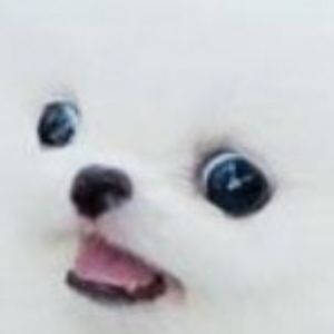 ustarizrodriguez avatar