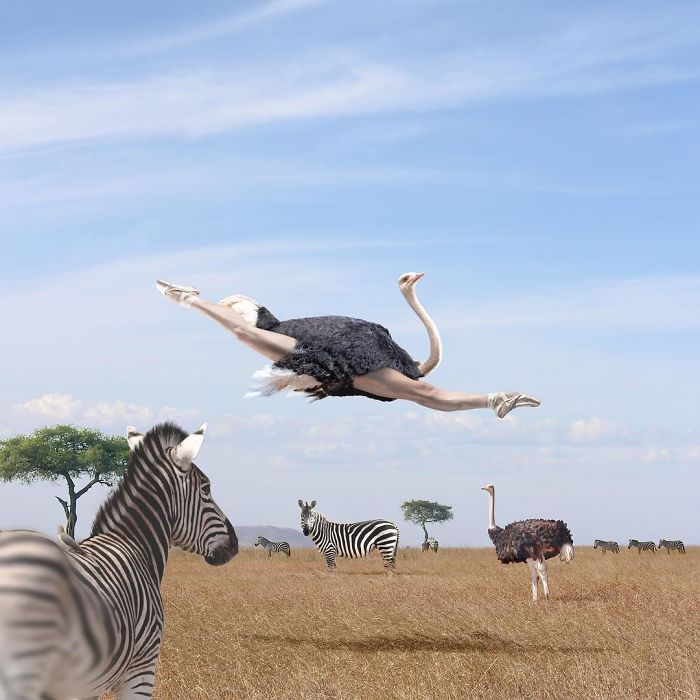 Artist Shows His Surreal World Through Digital Art