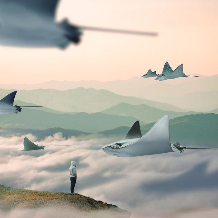 Artist Shows His Surreal World Through Digital Art