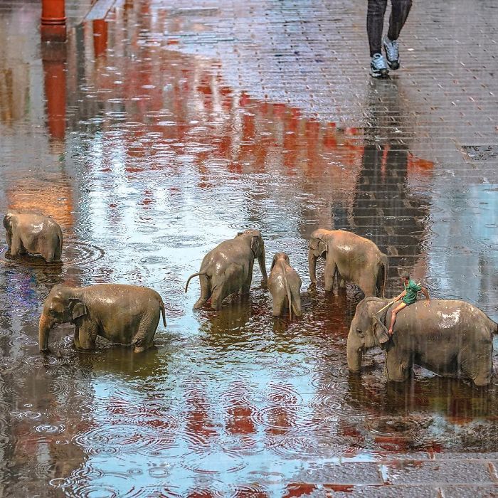 Artist Shows His Surreal World Through Digital Art