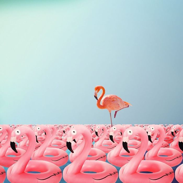 Artist Shows His Surreal World Through Digital Art