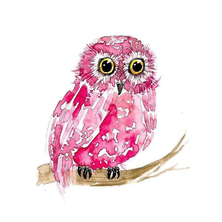 I Paint Tiny, Cute Owls On A Daily Basis And Can't Stop (17 Illos)