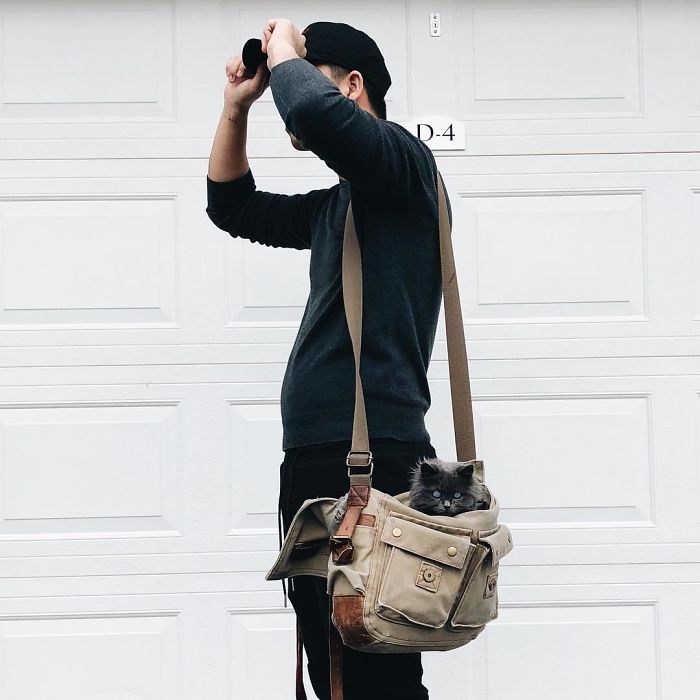 Meet Merlin, The Water-Bottle-Sized 2-Year-Old Kitty That Is Taking Over Twitter Because Of His Pure Beauty