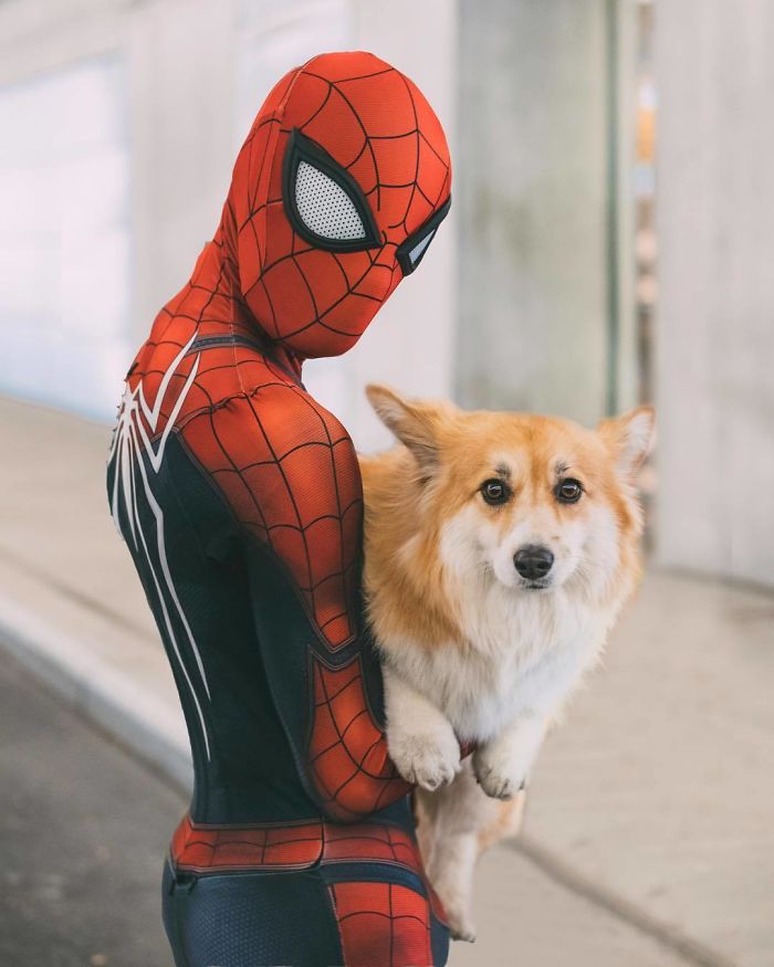 Corgi Gets Photoshopped Into Popular Movie Posters (13 Pics) Corgi Gets Photoshopped Into Popular Movie Posters (13 Pics)