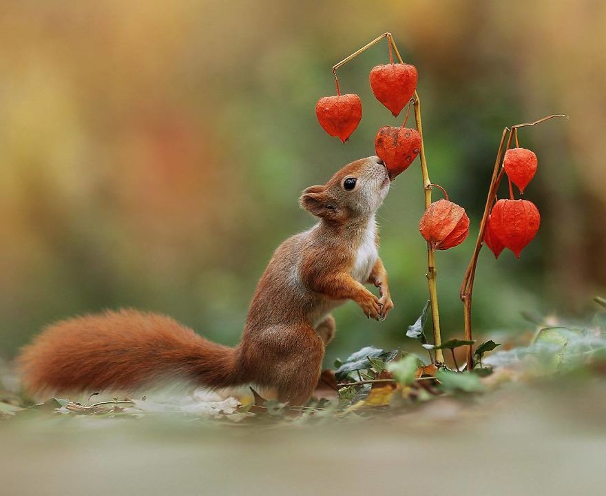 Autumn Has The Most Beautiful Colours... Do You Agree?