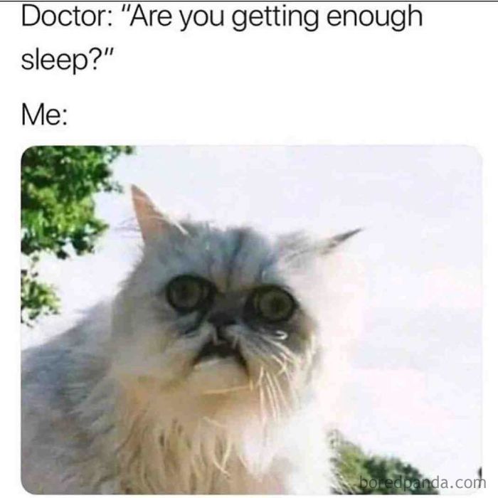 Fluffy cat with surprised expression as a funny sleeping meme response to a doctor’s question.