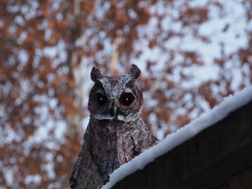 I Use Wood And Clay To Create Realistic Owl Sculptures I Use Wood And Clay To Create Realistic Owl Sculptures