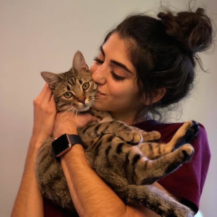 Cat Removes Wooden Bar To Let Her Owner Back Inside After She Locks Herself Out