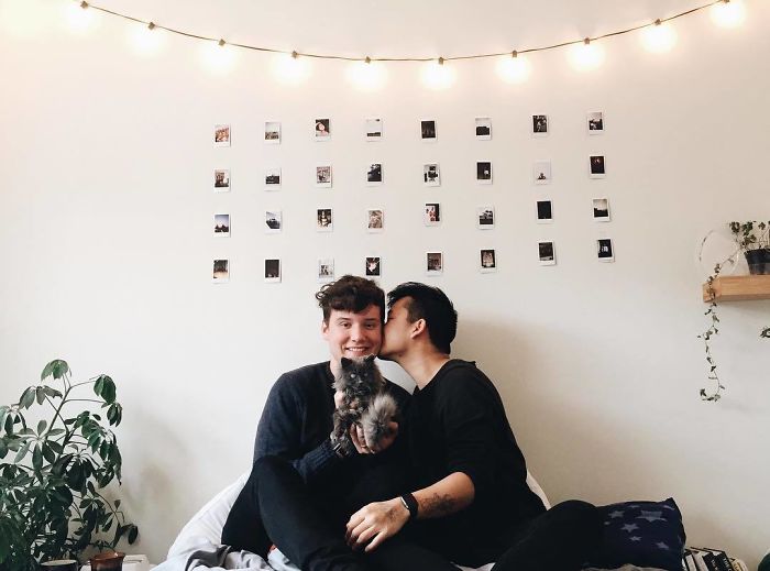 Meet Merlin, The Water-Bottle-Sized 2-Year-Old Kitty That Is Taking Over Twitter Because Of His Pure Beauty Meet Merlin, The Water-Bottle-Sized 2-Year-Old Kitty That Is Taking Over Twitter Because Of His Pure Beauty