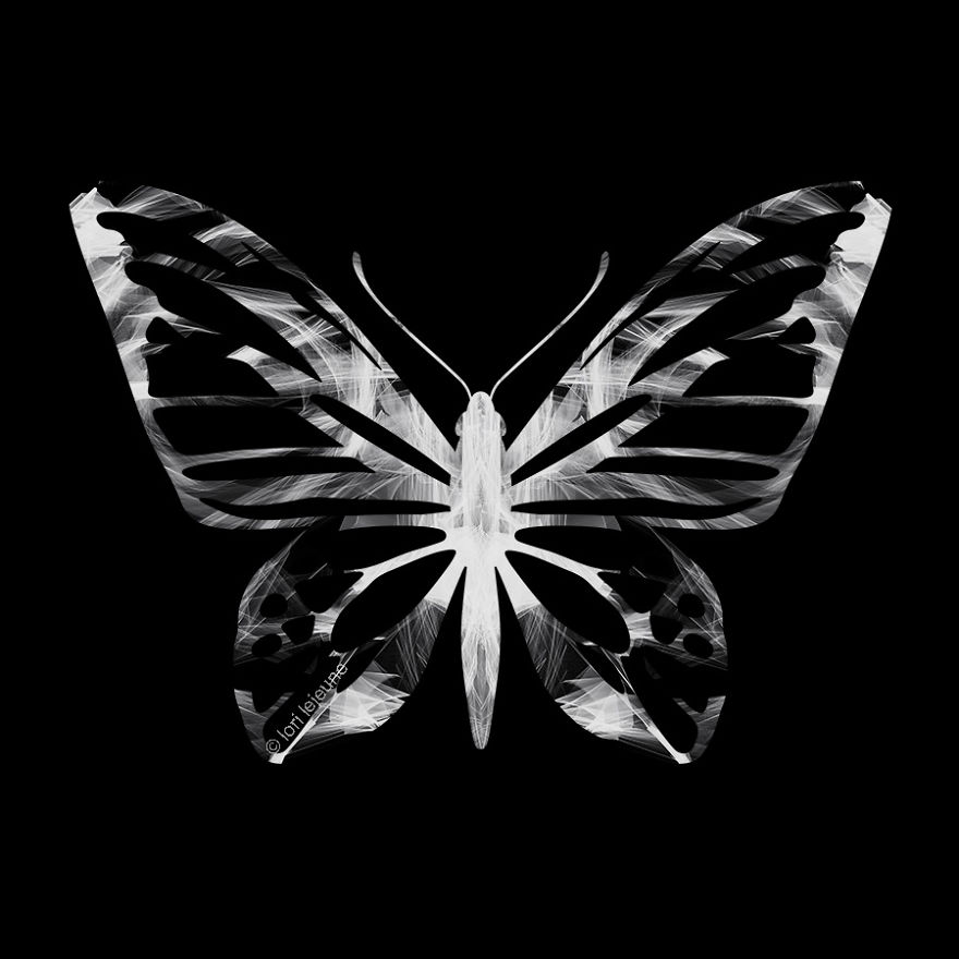 Come Fly Away With Me And My Mixed Media Wall Installation Art Of Birds And More... Come Fly Away With Me And My Mixed Media Wall Installation Art Of Birds And More...