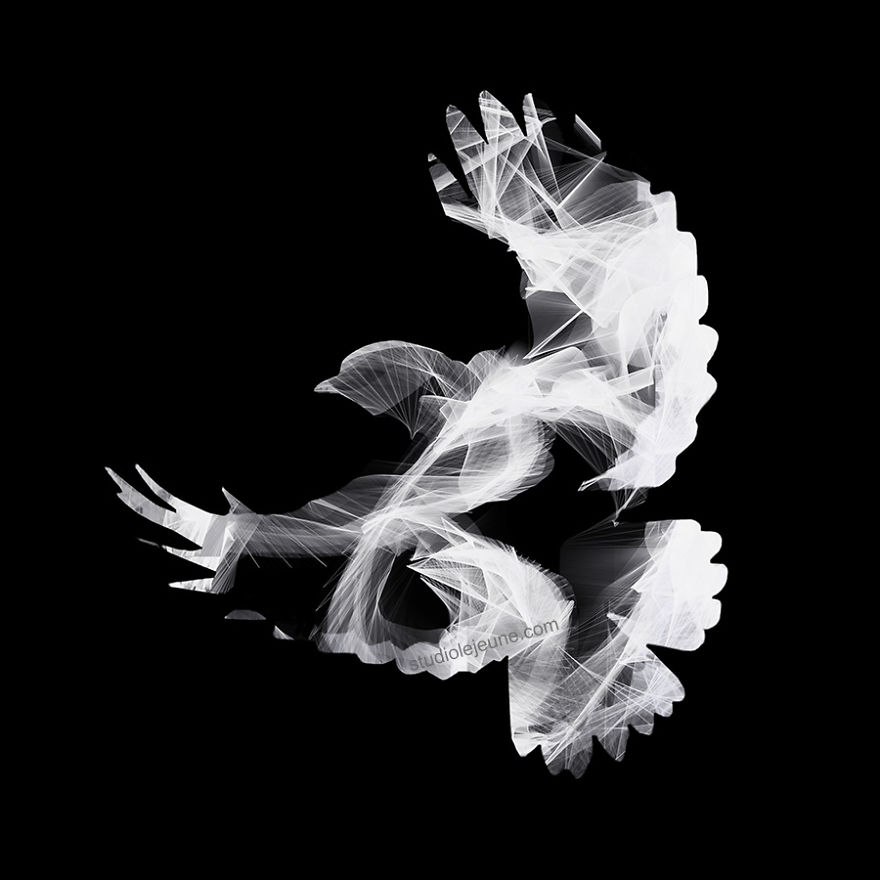 Come Fly Away With Me And My Mixed Media Wall Installation Art Of Birds And More...