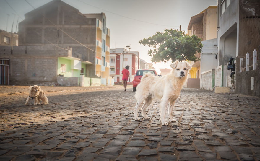 The Streets Of Santa Maria